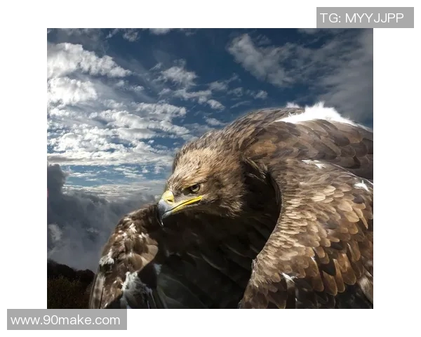 蓝网与老鹰精彩对决录像回放全程回顾分析与精彩瞬间重温