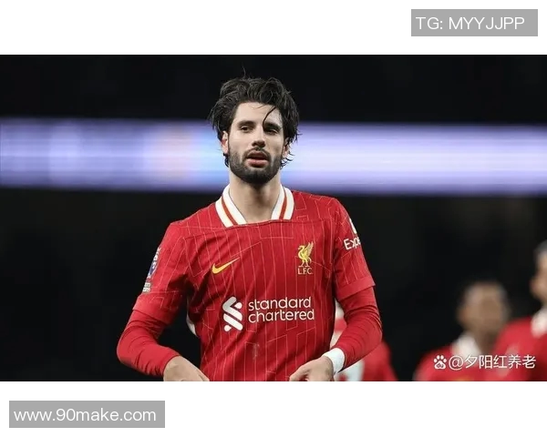 探索索博斯洛伊的历史与文化遗产及其对现代社会的影响